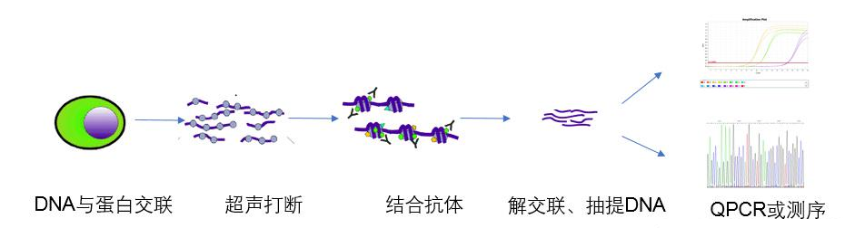 新闻图片3