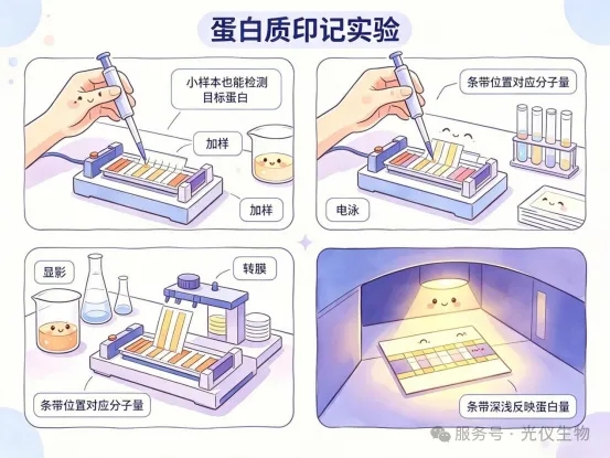 新闻图片17