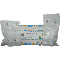 病毒DNA/RNA提取试剂盒，for DNA and RNA applications, BioReagent，阿拉丁