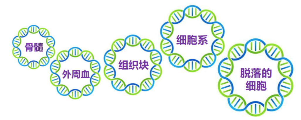 新闻图片1