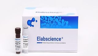 流式细胞术必备高效阻断液，Elabscience人Fc受体阻断液