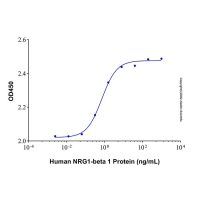 Recombinant Human NRG1-beta 1 Protein，无载体,生物活性,ActiBioPure™,高性能,PBS Only,≥95%(SDS-PAGE)，阿拉丁