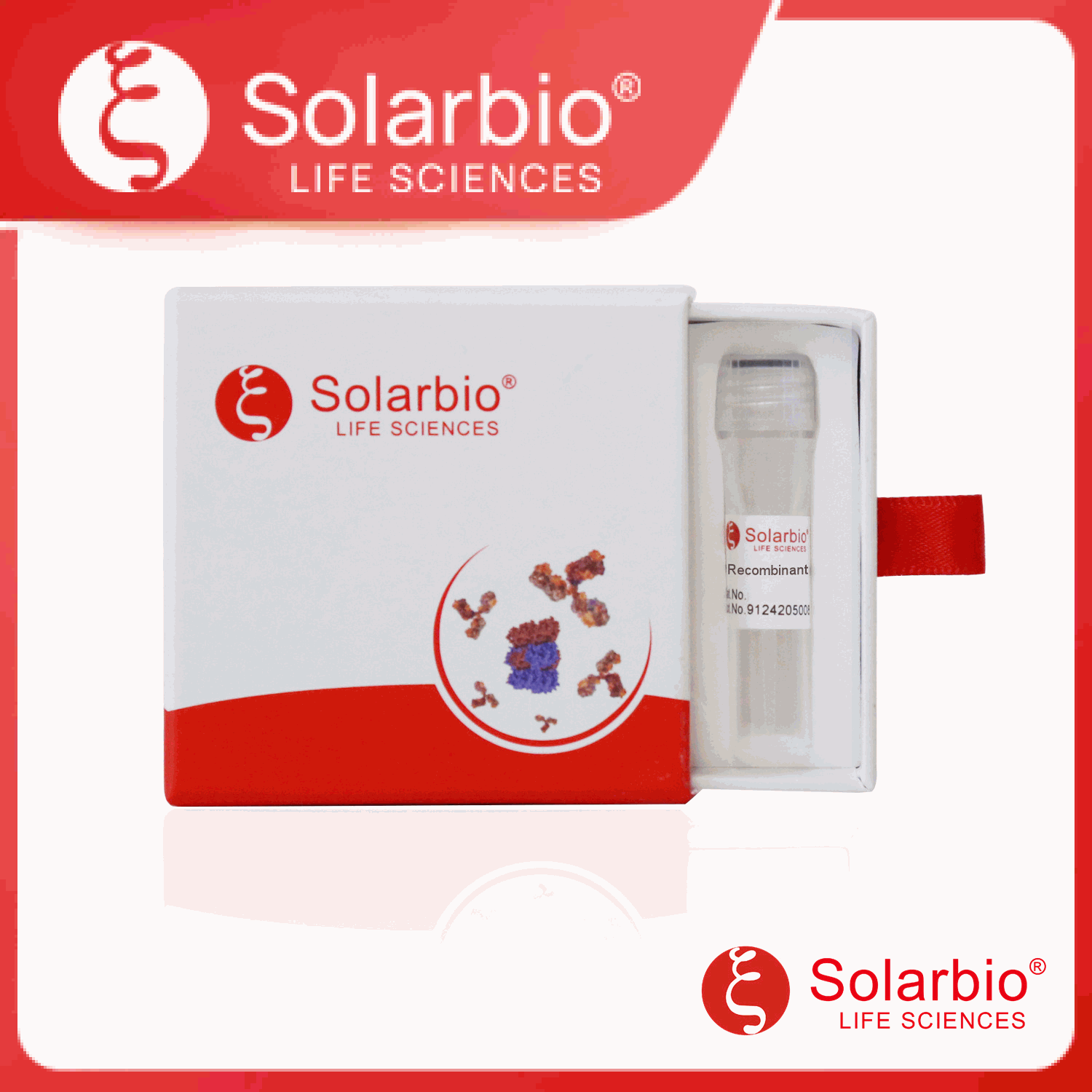 Recombinant Human CATSPER1 protein (Antigen)产品图