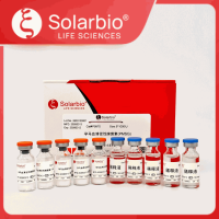 孕马血清促性腺激素(PMSG)
