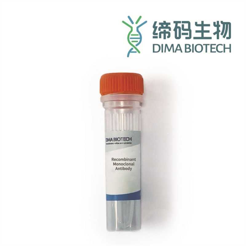 PE标记VSIG4抗体(DMC268);嵌合单抗