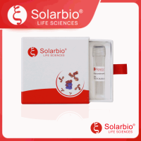 Recombinant Human TXNDC4 protein (Antigen)