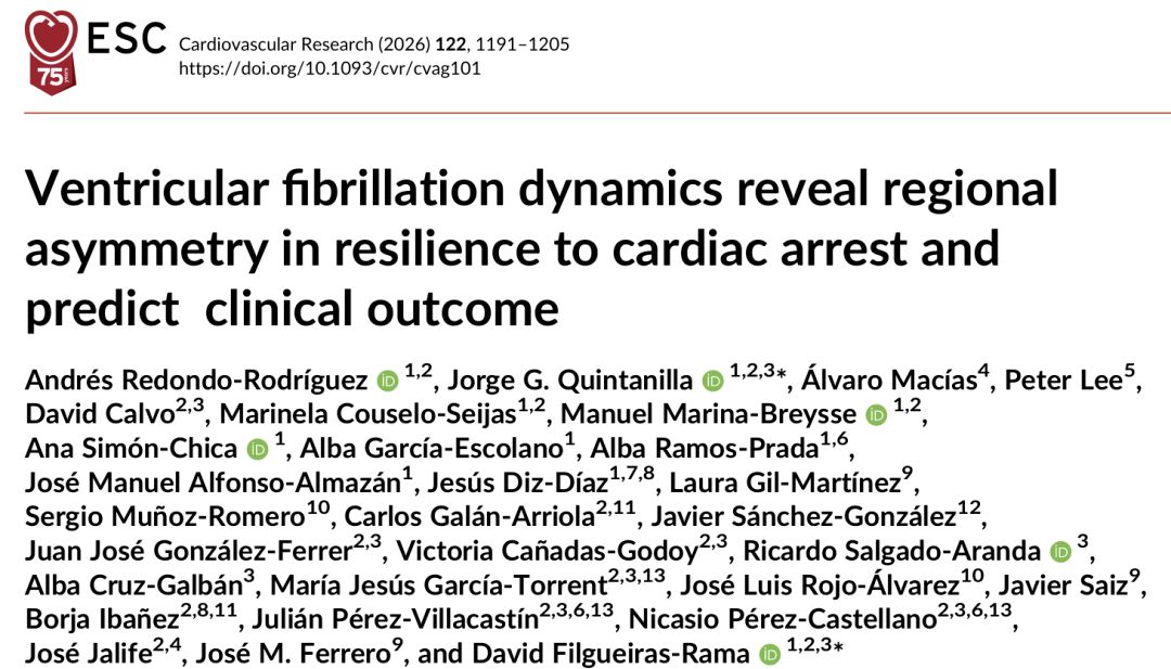 【Cardiovasc Res】：室颤动力学揭示双心室缺血耐受不对称，体表心电可预判心脏骤停神经预后