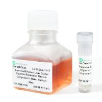 StemVive ®人肝胆管类器官扩增培养基