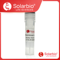 Recombinant Human HIF-1 α protein (Antigen)