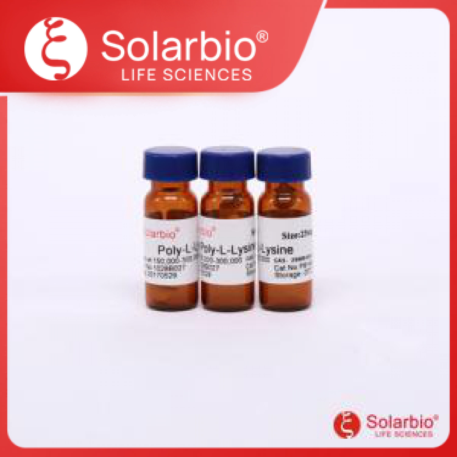 多聚-L-赖氨酸(15-30万)产品图