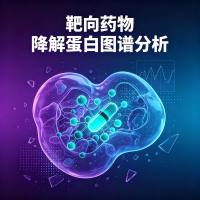 靶向药物降解蛋白图谱分析