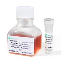 StemVive®人肠类器官扩增培养基
