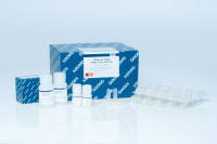 QIAamp DNA Mini Kit (50)