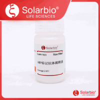 HRP标记抗体稀释液