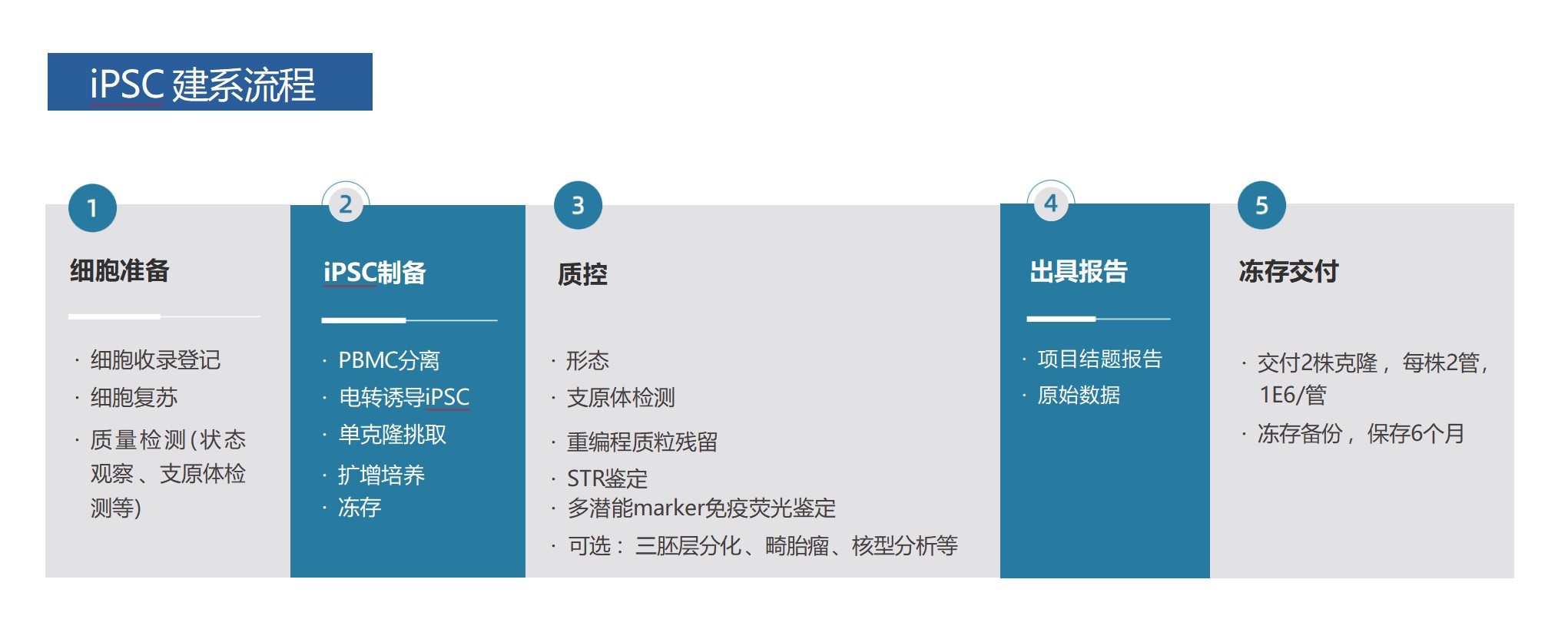 iPSC建系-截图 2026-08-13 155327.jpg