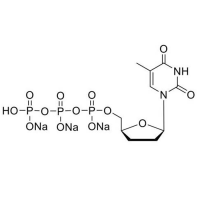 ddTTP (10mM)，611-60-9，BioReagent, 无DNA酶和RNA酶, PCR试剂, 分子生物学级, 无菌, for DNA and RNA applications, ≥99%, 10mM，阿拉丁