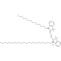 PKH 26 (红色荧光膜染料) ,154214-55-8,BioReagent,生物染色剂,适用于荧光分析,用于显微镜,≥90%,阿拉丁