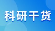 类器官整装免疫荧光怎么做？从样本回收到三维成像的关键步骤