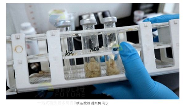 游离氨基酸检测，游离氨基酸组分检测机构