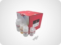 雅礼生物 YALEPIC 快速PCR产物/琼脂糖凝胶DNA纯化回收试剂盒(一盒两用,15 分钟快速纯化回收 100bp–20kb DNA)