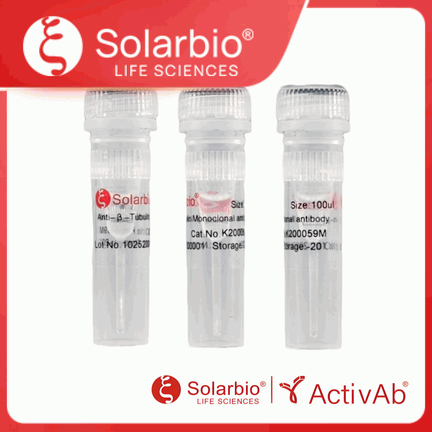 K200059M Anti-β-Tubulin Monoclonal Antibody产品图