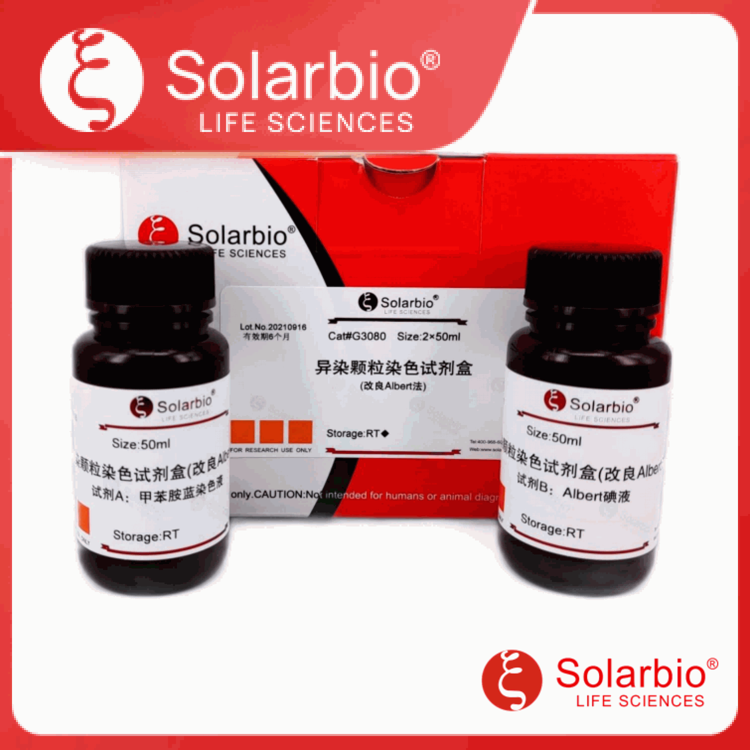 异染颗粒染色试剂盒(改良Albert法)产品图
