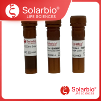 10000*SolarBlue 核酸染料
