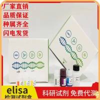 人Osteoglycin (OGN)ELISA试剂盒