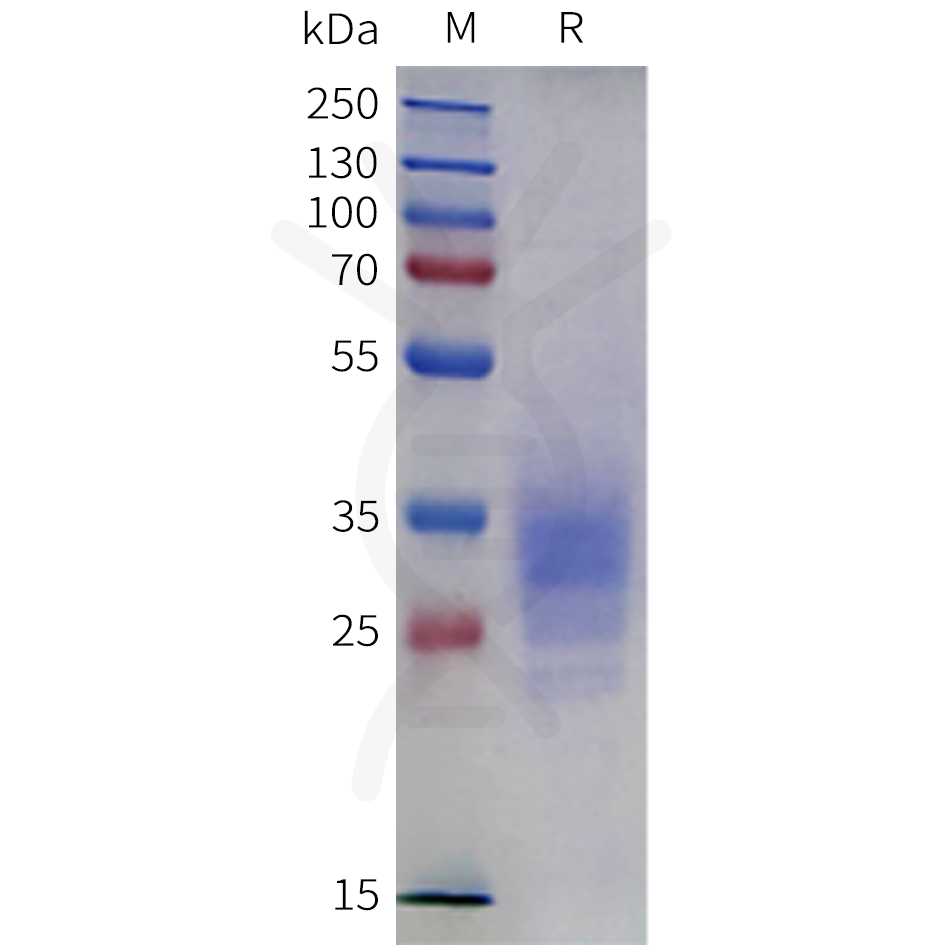 pme-m100139-cd2-sp1.png