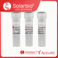 K200001M Anti-Flag tag Monoclonal Antibody