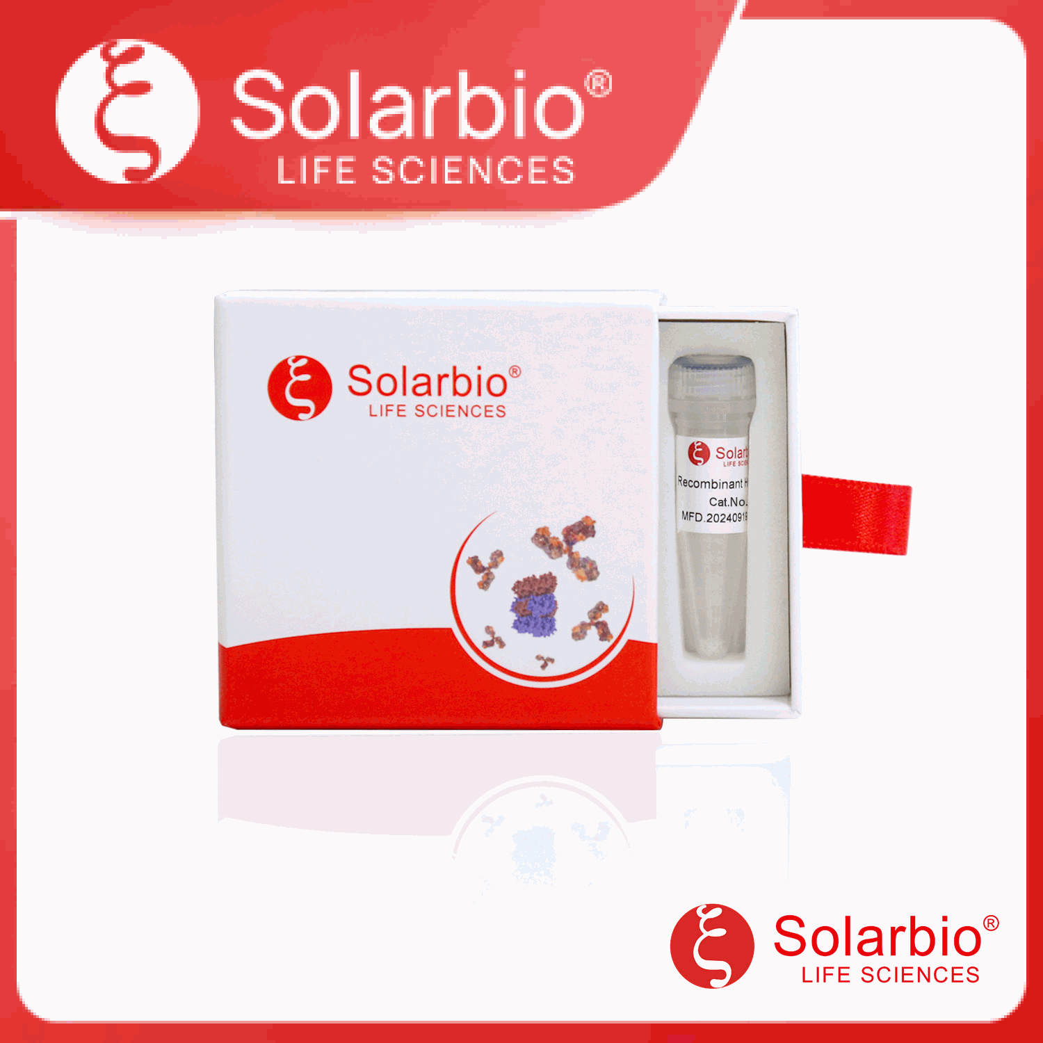 绿色荧光蛋白 GFP产品图