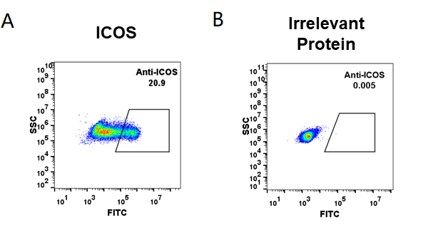 BME100012-Anti-ICOSvopratelimab-biosimilar-mAb-FLOW-Fig3.png