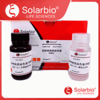 淀粉样物质染色试剂盒(甲紫法)