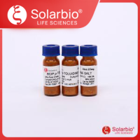 5-溴-4-氯-3-吲哚基磷酸盐 BCIP