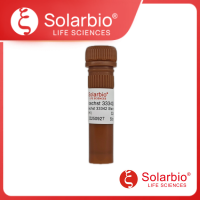 Hoechst 33342染色液(1mg/mL)