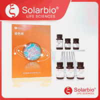 DiBAC4(3)膜电位荧光探针