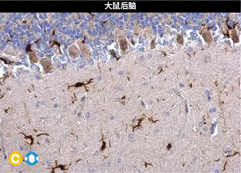 新闻图片7