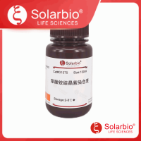 结晶紫染色液(0.4%)