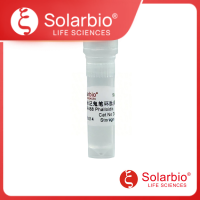 SF488标记鬼笔环肽(绿色)