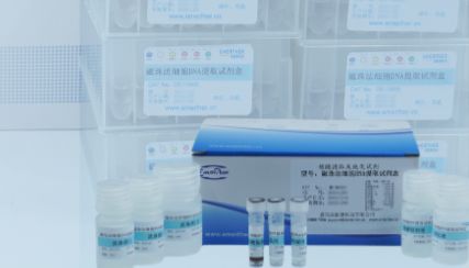磁珠法细胞DNA/RNA提取试剂盒，提取又快又稳！