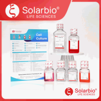 狗血清(无菌过滤)