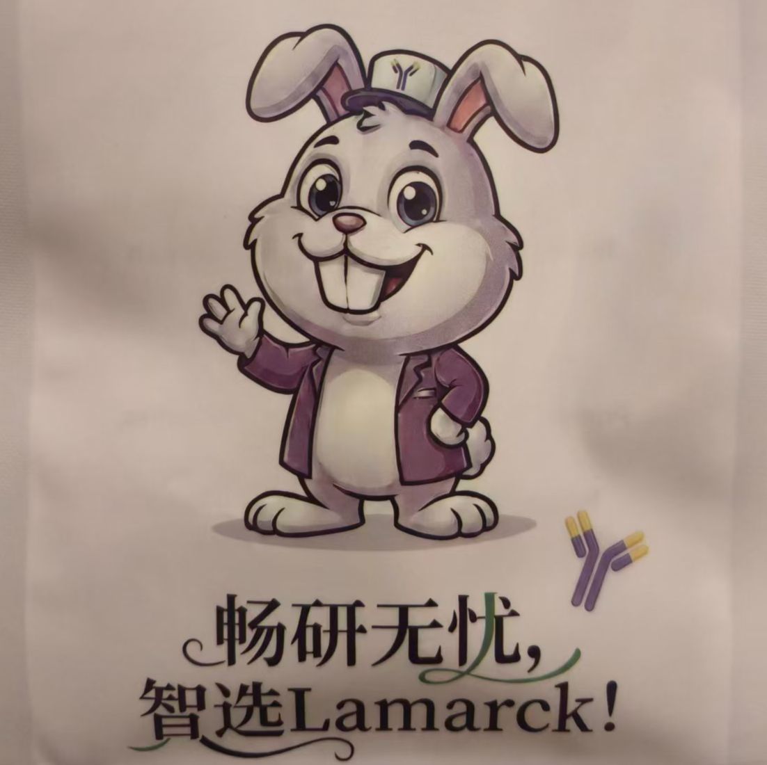 1×无蛋白快速封闭液