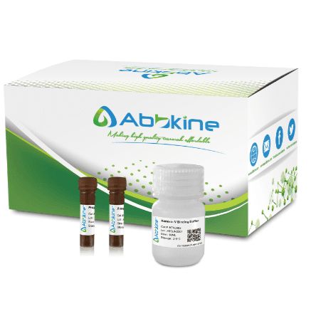 CheKine™ 谷氨酰胺（Gln）含量检测试剂盒（微量法）CheKine™ Micro Glutamine (Gln) Content Assay Kit