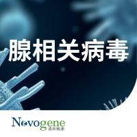 腺相关病毒