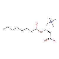 辛左旋肉碱,25243-95-2,Moligand™, ≥98%,阿拉丁