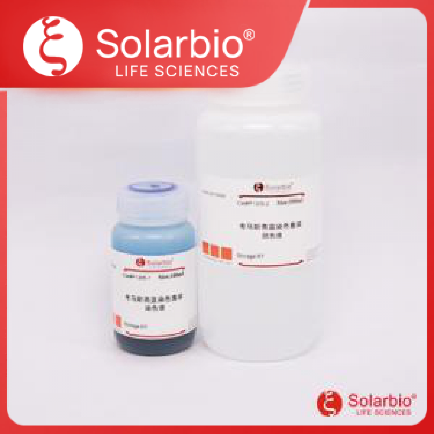 考马斯亮蓝染色套装(染色液+脱色液)产品图