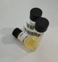 pT3-myr-AKT-HA-诱导肝癌模型的质粒