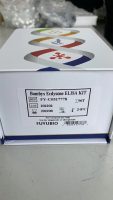 大鼠8-氧鸟嘌呤脱氧核苷(8-oxo-dG)ELISA试剂盒