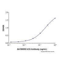 Recombinant Human CG alpha/beta (HCG) Heterodimer