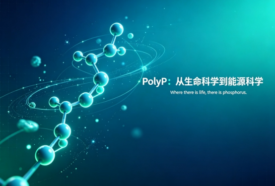 新闻图片1